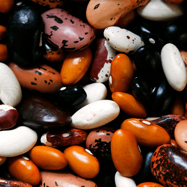 beans
