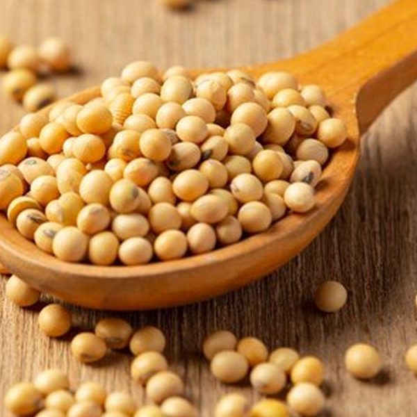 Black sesame and white sesame seed on wooden spoon