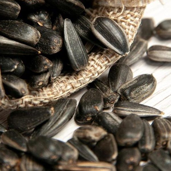 Black sesame and white sesame seed on wooden spoon